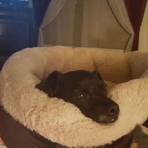 Meet your Posher, Patty